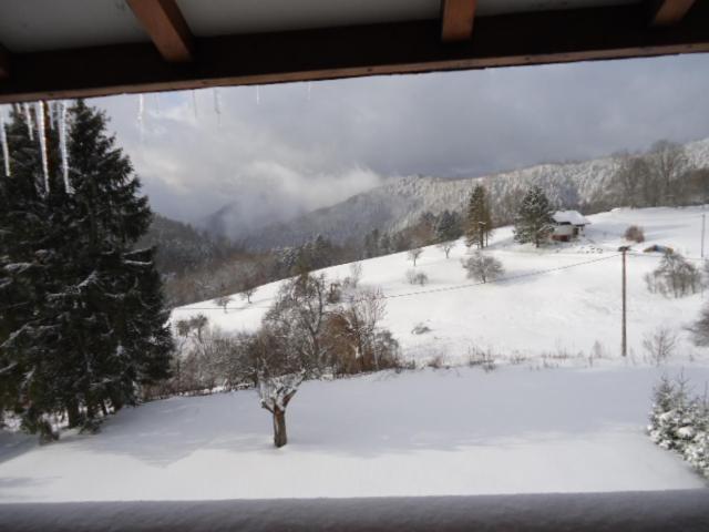 Chalet Contemporain Plein Nature Altenbach ภายนอก รูปภาพ